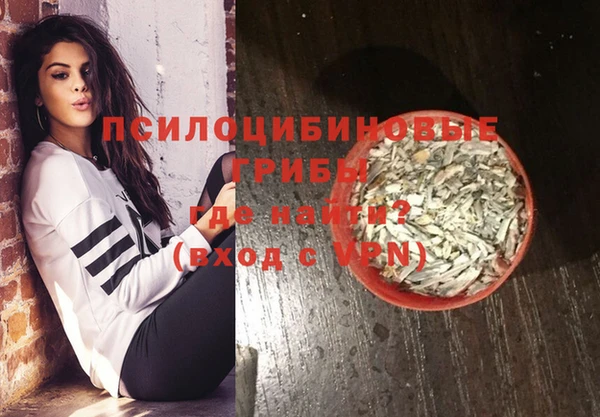 шишки Новокубанск