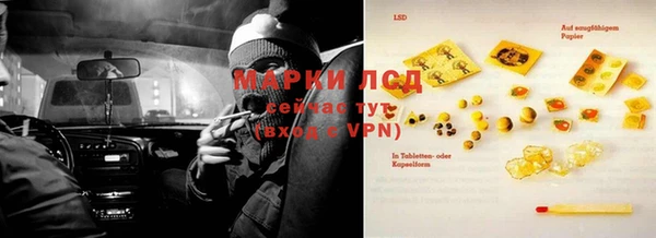 спайс Новодвинск