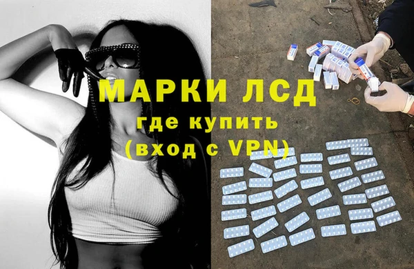 шишки Новокубанск